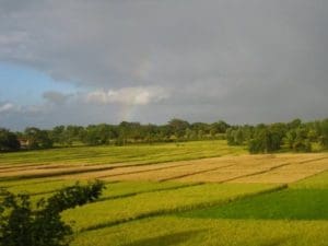 A Year in Lush Greeen Hinterlands of India