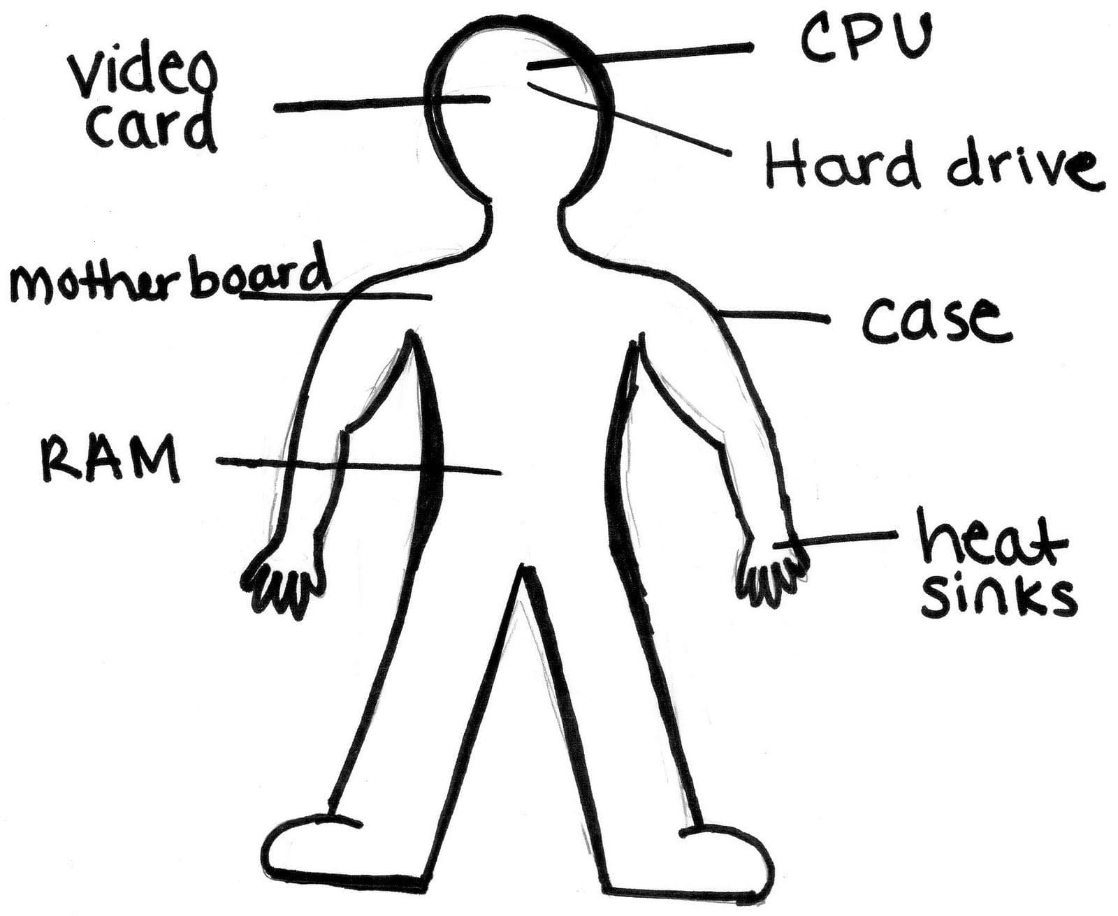 Human Body as a Computer
