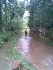 The Monsoon in Kerala