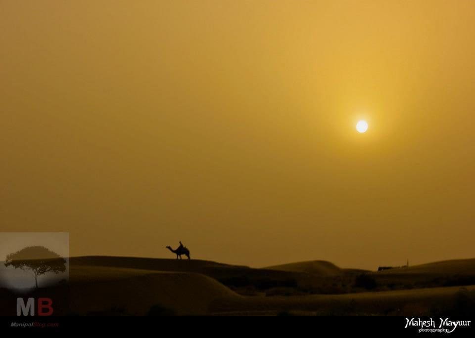 Sunset over the Thar Desert, Jaisalmer
