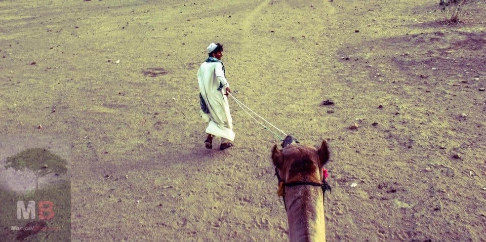 A Camel ride - Jaisalmer