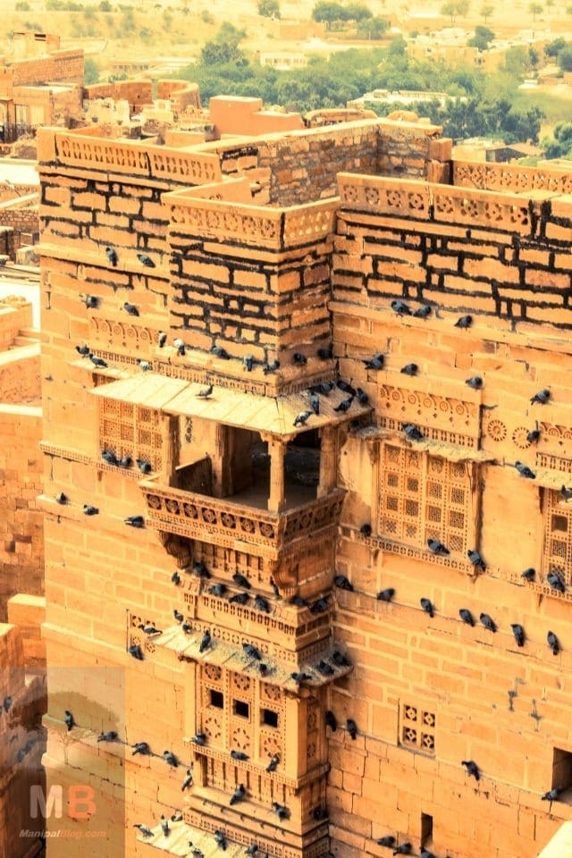 Pigeons sit on the Jaisalmer Fort