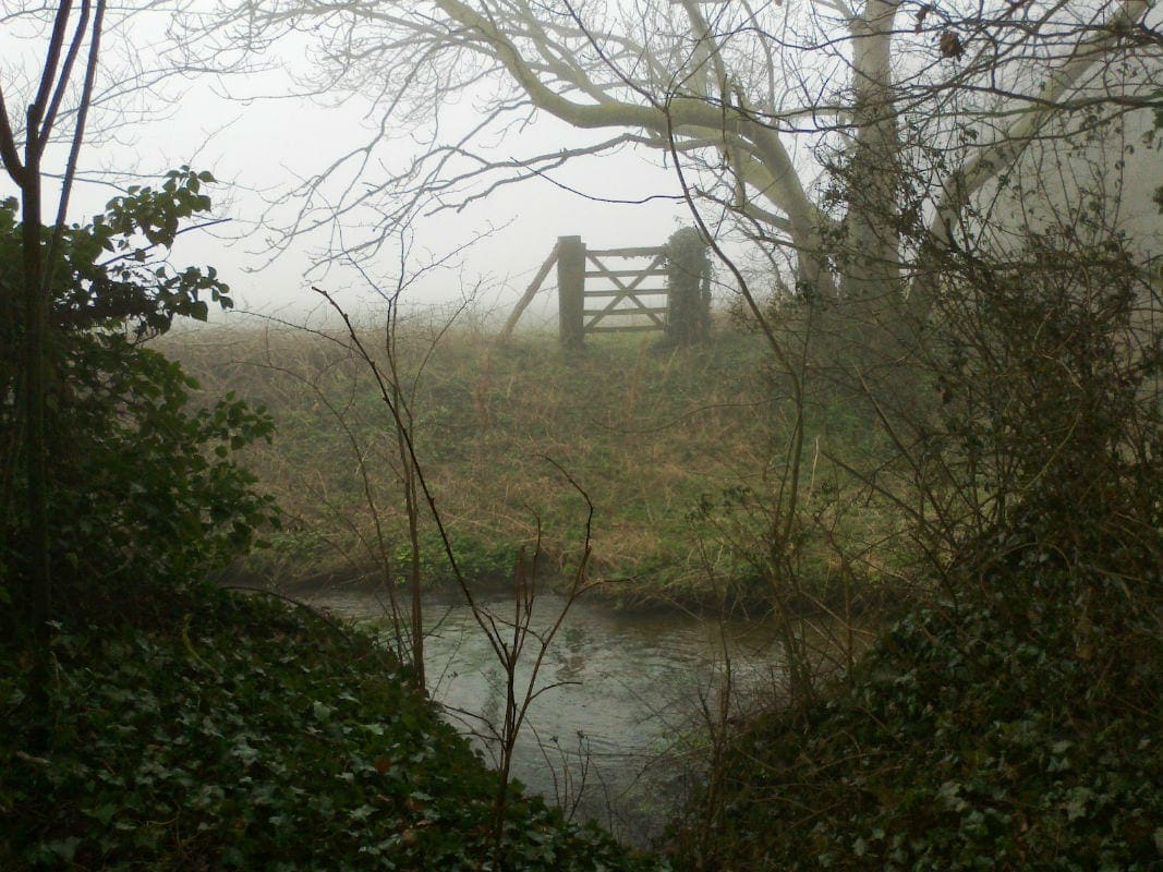 Old Gate Mist