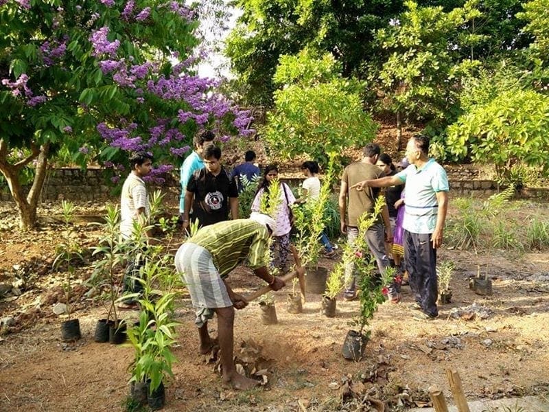Choosing the right plants for the tree plantation activity around Manipal Lake