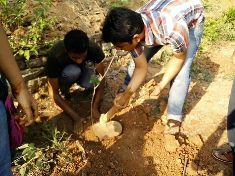 It was a coordinated activity that saw contentment on the faces of all involved in the Tree planting activity around Manipal Lake