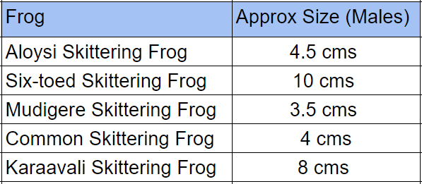 Size frog full