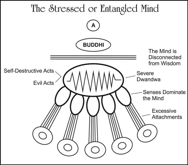 Gita on Possessiveness and Stress
