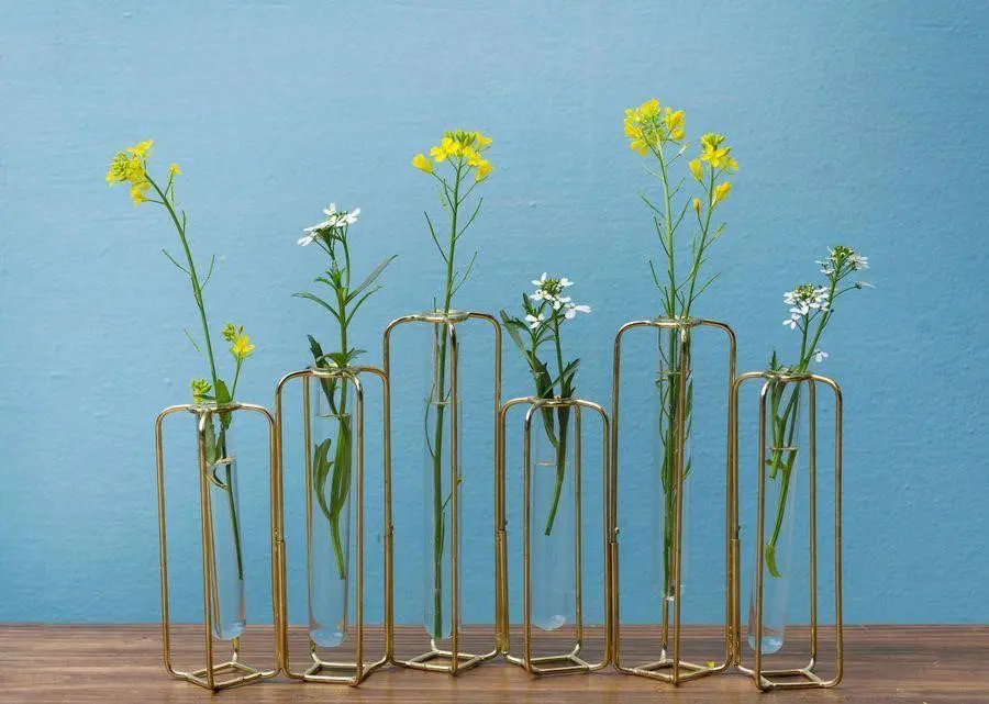 Test Tube Vase (set Of 6)