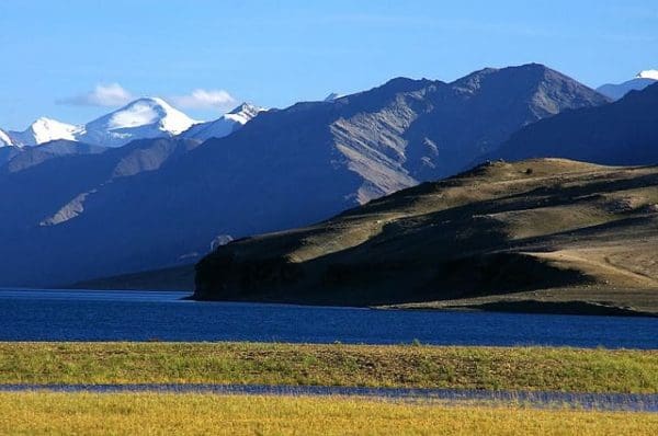 Lake tso moriri, ladakh