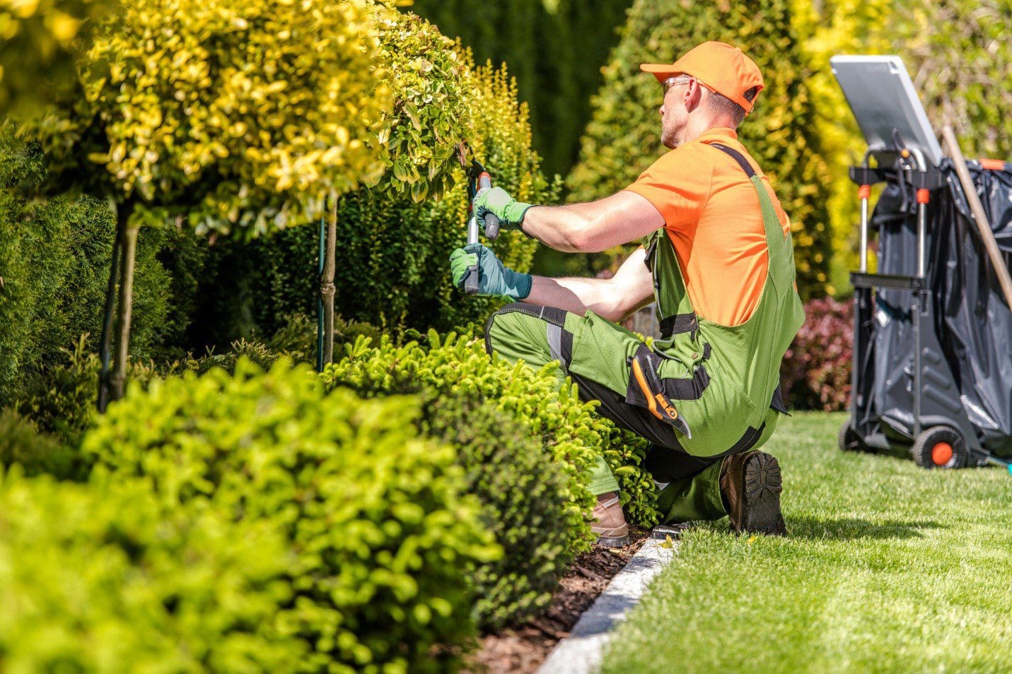 Landscaping company working