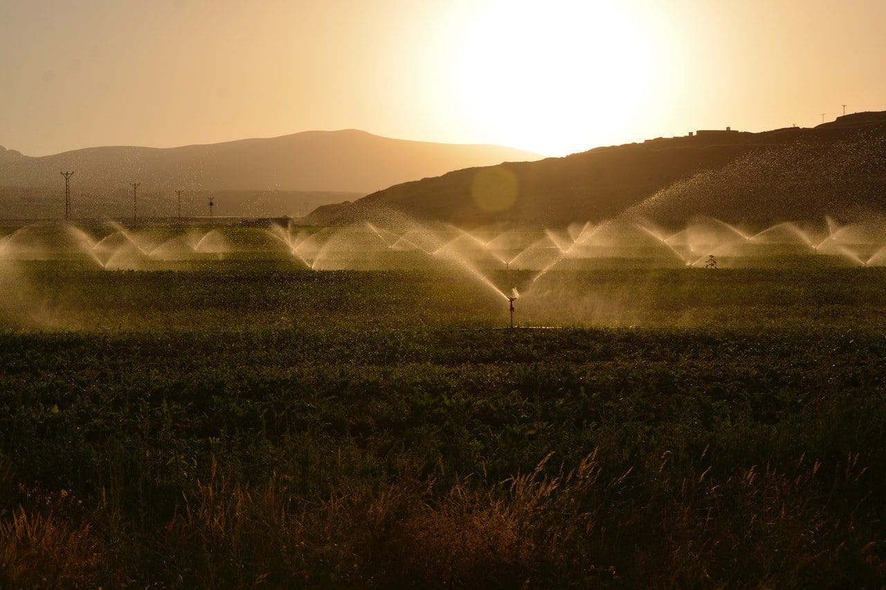 Tips to reduce water consumption in agriculture 4