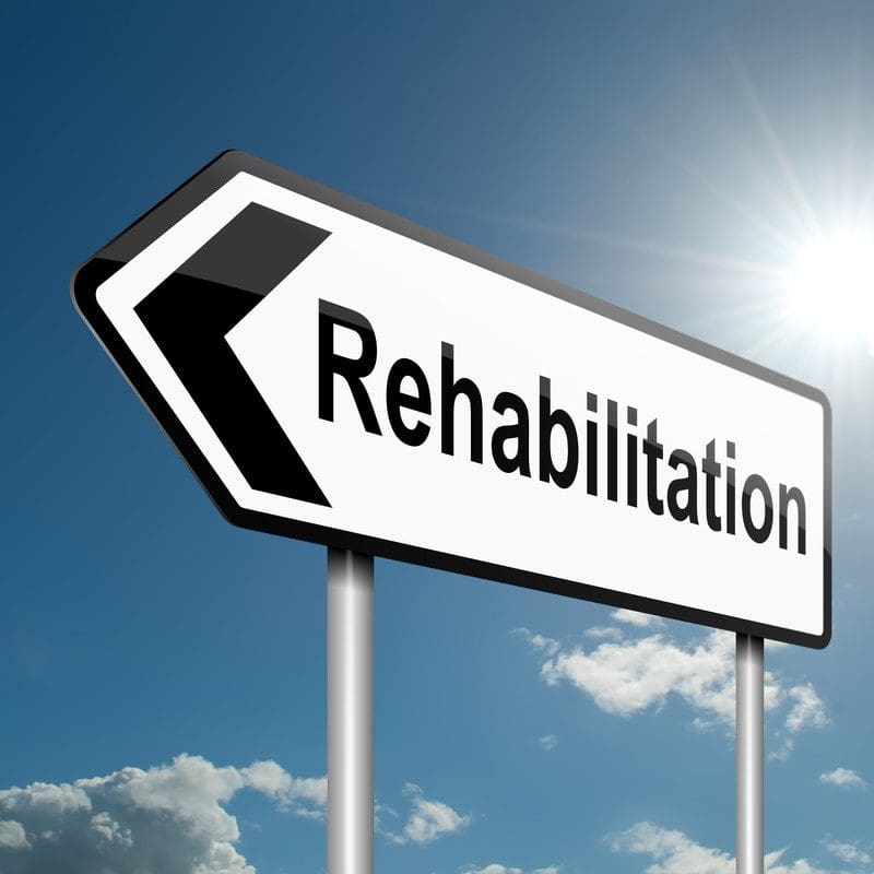 criminal rehabilitation programs